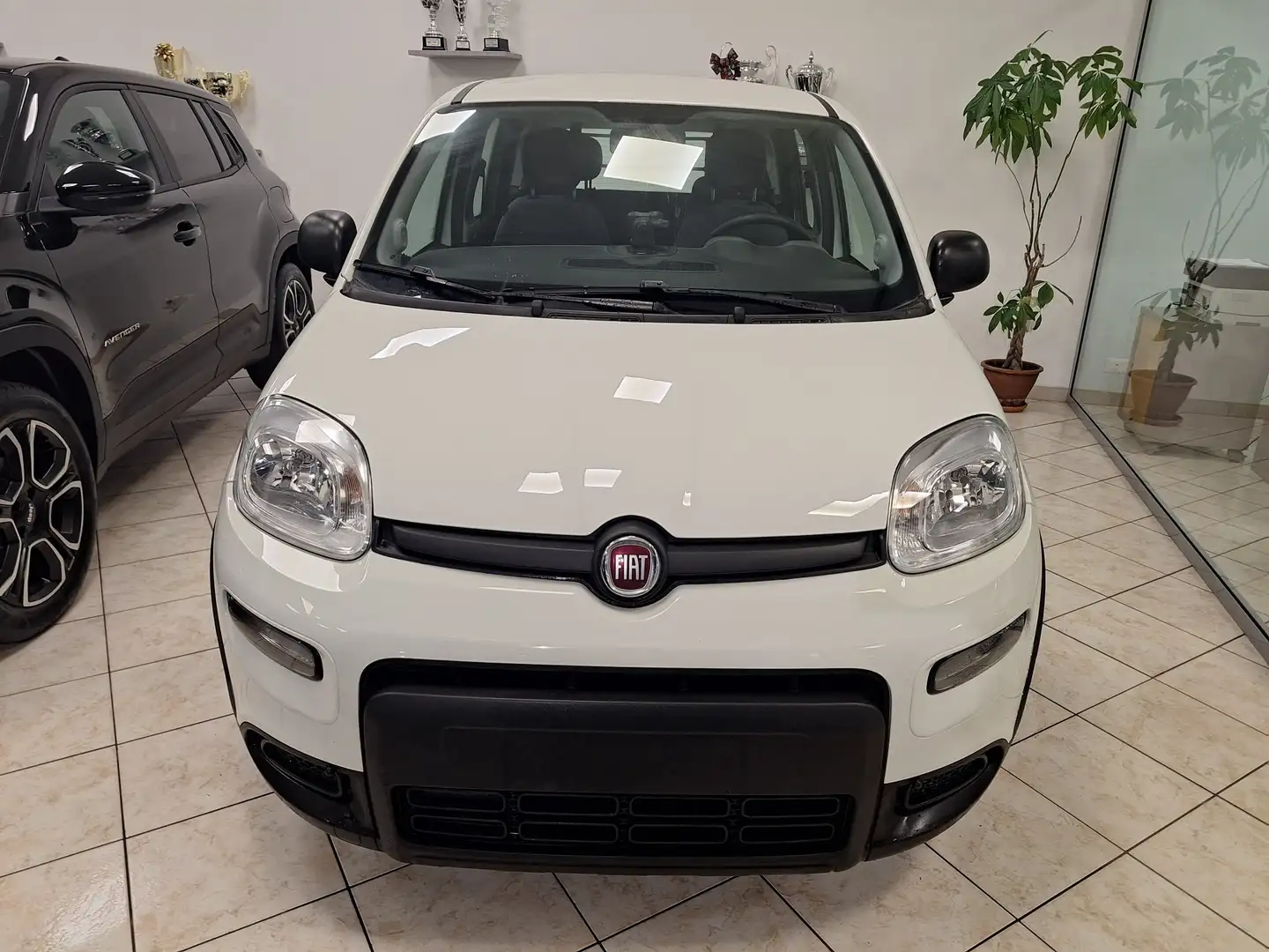 Fiat Panda Van 4 Posti 1.0 Hybrid Bianco - 1