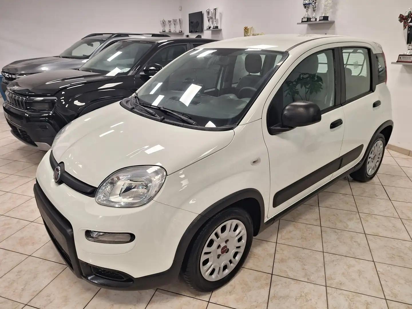 Fiat Panda Van 4 Posti 1.0 Hybrid Bianco - 2