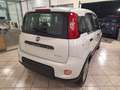 Fiat Panda Van 4 Posti 1.0 Hybrid Bianco - thumbnail 4