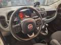 Fiat Panda Van 4 Posti 1.0 Hybrid Bianco - thumbnail 7