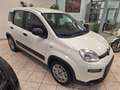 Fiat Panda Van 4 Posti 1.0 Hybrid Bianco - thumbnail 3