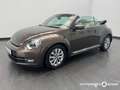 Volkswagen Beetle Cabriolet 1.6TDI 5-Gang Design BMT /Navi /Leder /S Brown - thumbnail 2