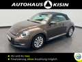 Volkswagen Beetle Cabriolet 1.6TDI 5-Gang Design BMT /Navi /Leder /S Brown - thumbnail 1