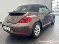 Volkswagen Beetle Cabriolet 1.6TDI 5-Gang Design BMT /Navi /Leder /S Brown - thumbnail 4