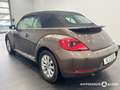 Volkswagen Beetle Cabriolet 1.6TDI 5-Gang Design BMT /Navi /Leder /S Brown - thumbnail 5