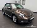 Volkswagen Beetle Cabriolet 1.6TDI 5-Gang Design BMT /Navi /Leder /S Brown - thumbnail 3