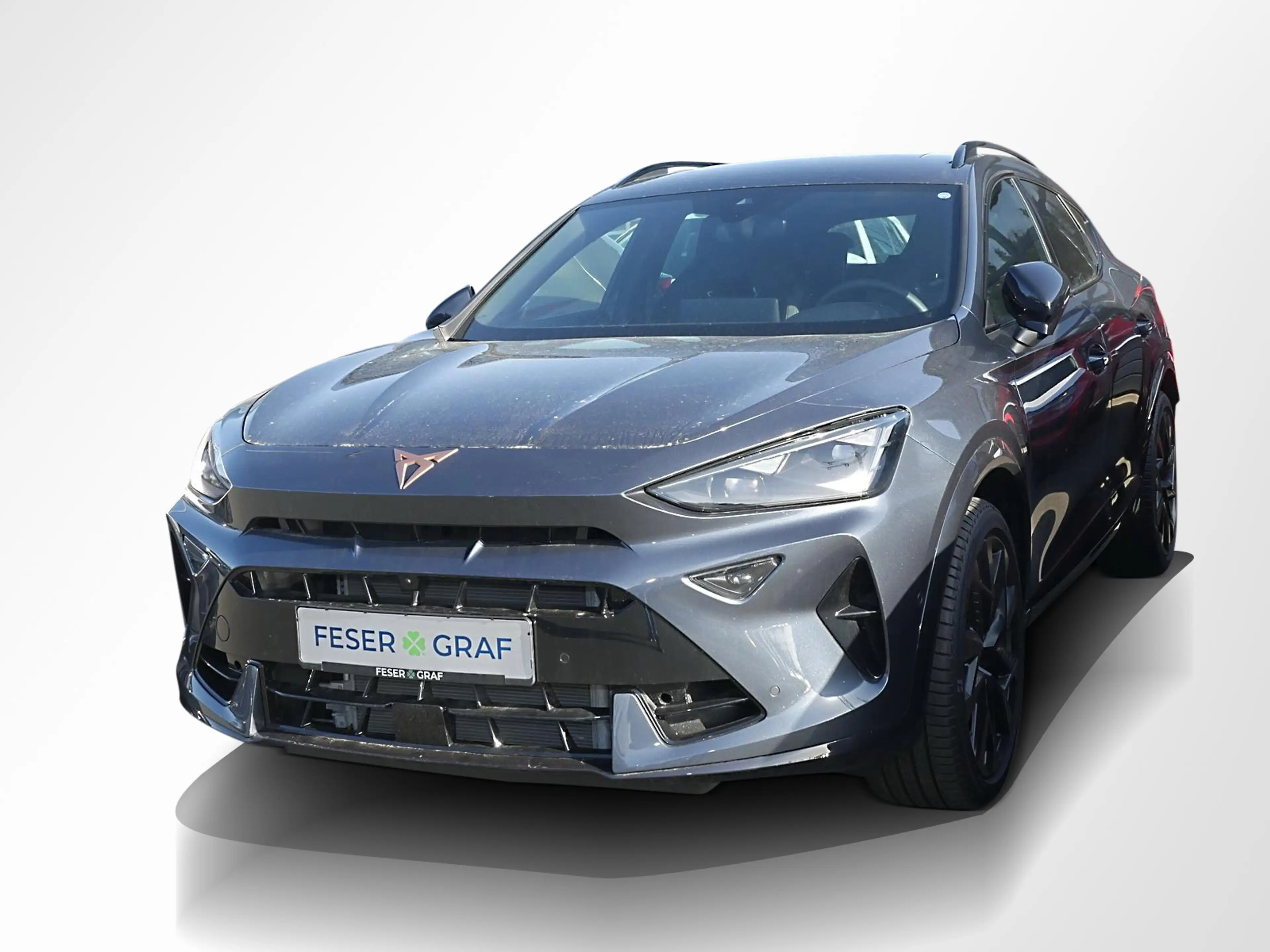 CUPRA Formentor VZ SHZ|MATRIX LED|NAVI|ACC|RFK|KESSY — photo 14