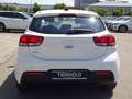 Kia Rio 1,2 Vision Navi Kamera DAB Sitzhzg. Weiß - thumbnail 6