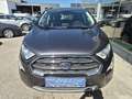 Ford EcoSport Titanium **NEUES PICKERL** Grau - thumbnail 3