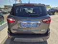 Ford EcoSport Titanium **NEUES PICKERL** Grau - thumbnail 6