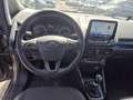 Ford EcoSport Titanium **NEUES PICKERL** Grau - thumbnail 10