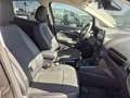Ford EcoSport Titanium **NEUES PICKERL** Grau - thumbnail 12