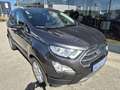 Ford EcoSport Titanium **NEUES PICKERL** Grau - thumbnail 4