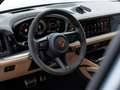 Porsche Cayenne Turbo E-Hybrid Grau - thumbnail 28