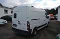 Renault Master III Kasten L2H2 HKa 3,3t Weiß - thumbnail 7