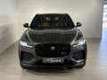 Jaguar F-Pace R-Dynamic SE P250 AWD Aut. Grau - thumbnail 2