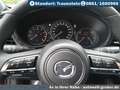 Mazda 3 2.5L e-SKYACTIV G 140ps Center+Design-Paket Rot - thumbnail 16