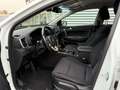 Kia Sportage Vision 4WD Weiß - thumbnail 8