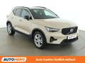 Volvo XC40 2.0 B4 Plus Dark 2WD Mild-Hybrid Braun - thumbnail 8