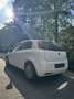 Fiat Punto 1.2 8V Classic - thumbnail 7