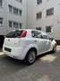 Fiat Punto 1.2 8V Classic - thumbnail 6