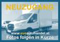 Ford Transit Kasten/€ 22.400,-netto/Koffer Ladebordwand Weiß - thumbnail 4