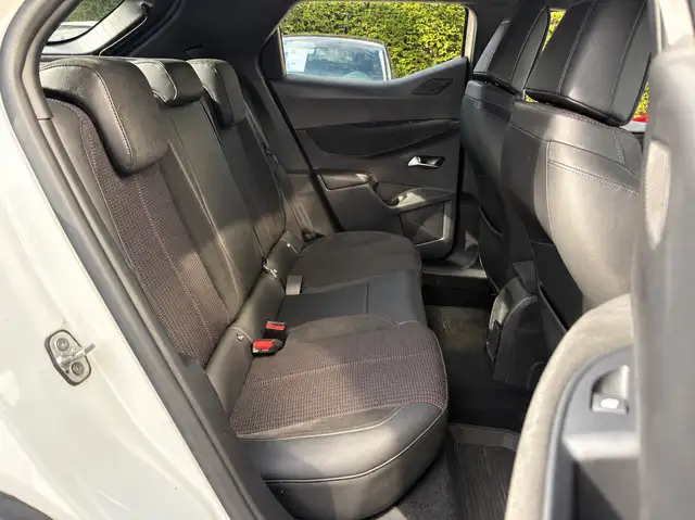 DS Automobiles DS 3 Crossback view 20