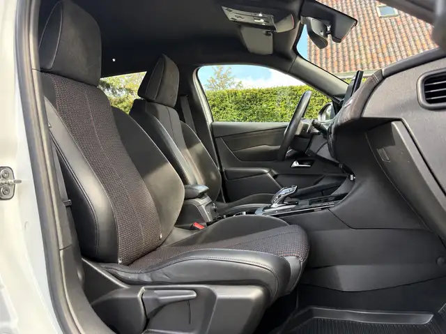 DS Automobiles DS 3 Crossback view 19