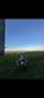 BMW R 1200 GS Adventure adventure - thumbnail 5