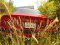 Pontiac Trans Am -garantiert echt und auch gnadenlos gut! Rojo - thumbnail 5