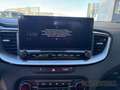 Kia XCeed Vision 1.0 T-GDI Navi AHK Tempomat Kamera Sitzheiz White - thumbnail 12