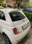 Fiat 500 1.3 Multijet Diesel Blanc - thumbnail 5