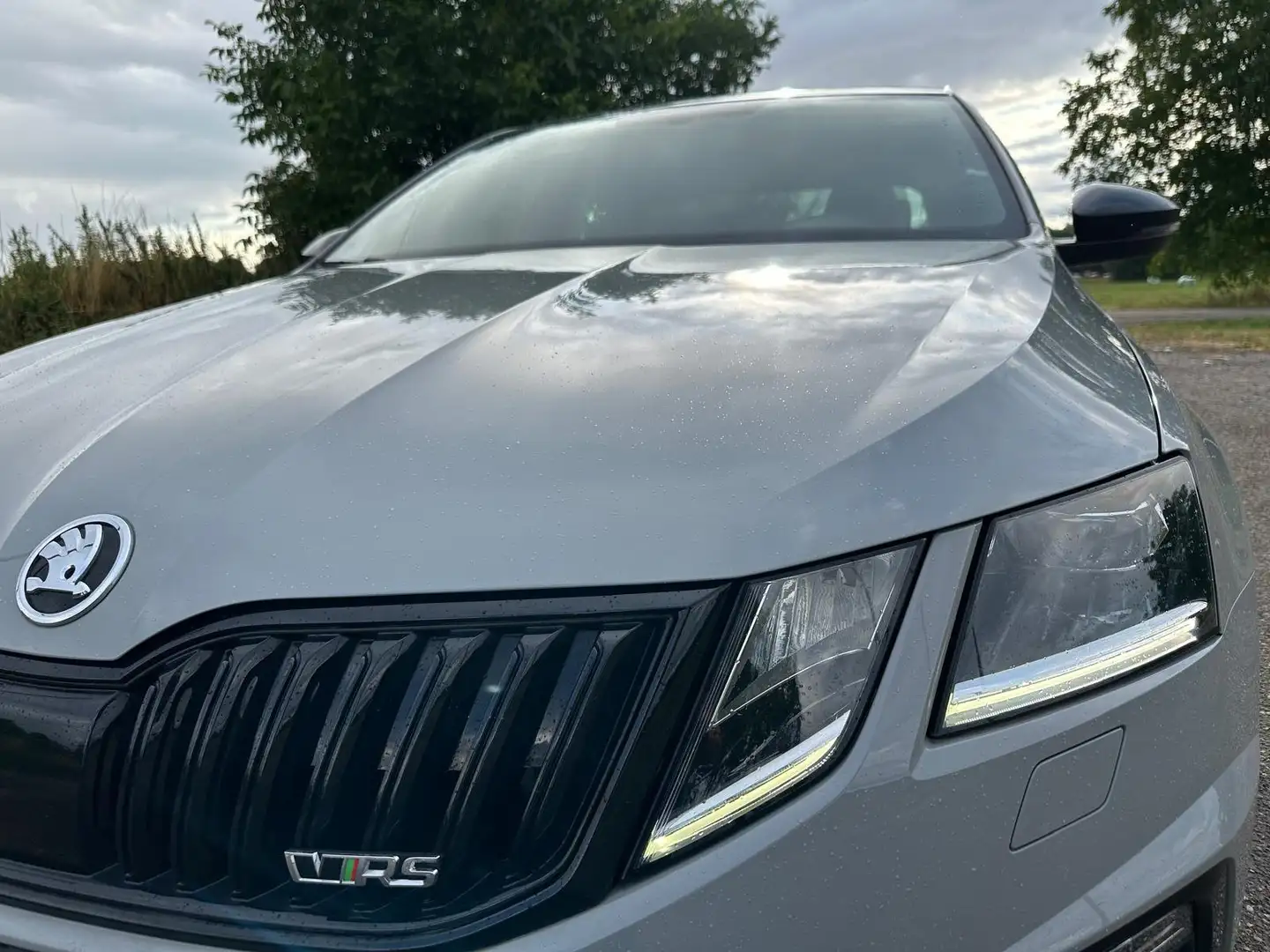 Skoda Octavia Octavia 2.0 TSI RS Grau - 1