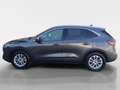 Ford Kuga 2,0 EcoBlue AWD Titanium X Aut. - thumbnail 2