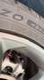 Honda Civic Civic 2.0 i-MMD Hybrid Sport e-CVT Aut. Sport Grau - thumbnail 18