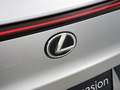 Lexus UX 250h Urban Line | Apple Carplay & Android Auto | Cruise Gris - thumbnail 19
