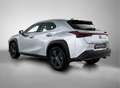 Lexus UX 250h Urban Line | Apple Carplay & Android Auto | Cruise Gris - thumbnail 14