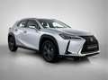 Lexus UX 250h Urban Line | Apple Carplay & Android Auto | Cruise Gris - thumbnail 13