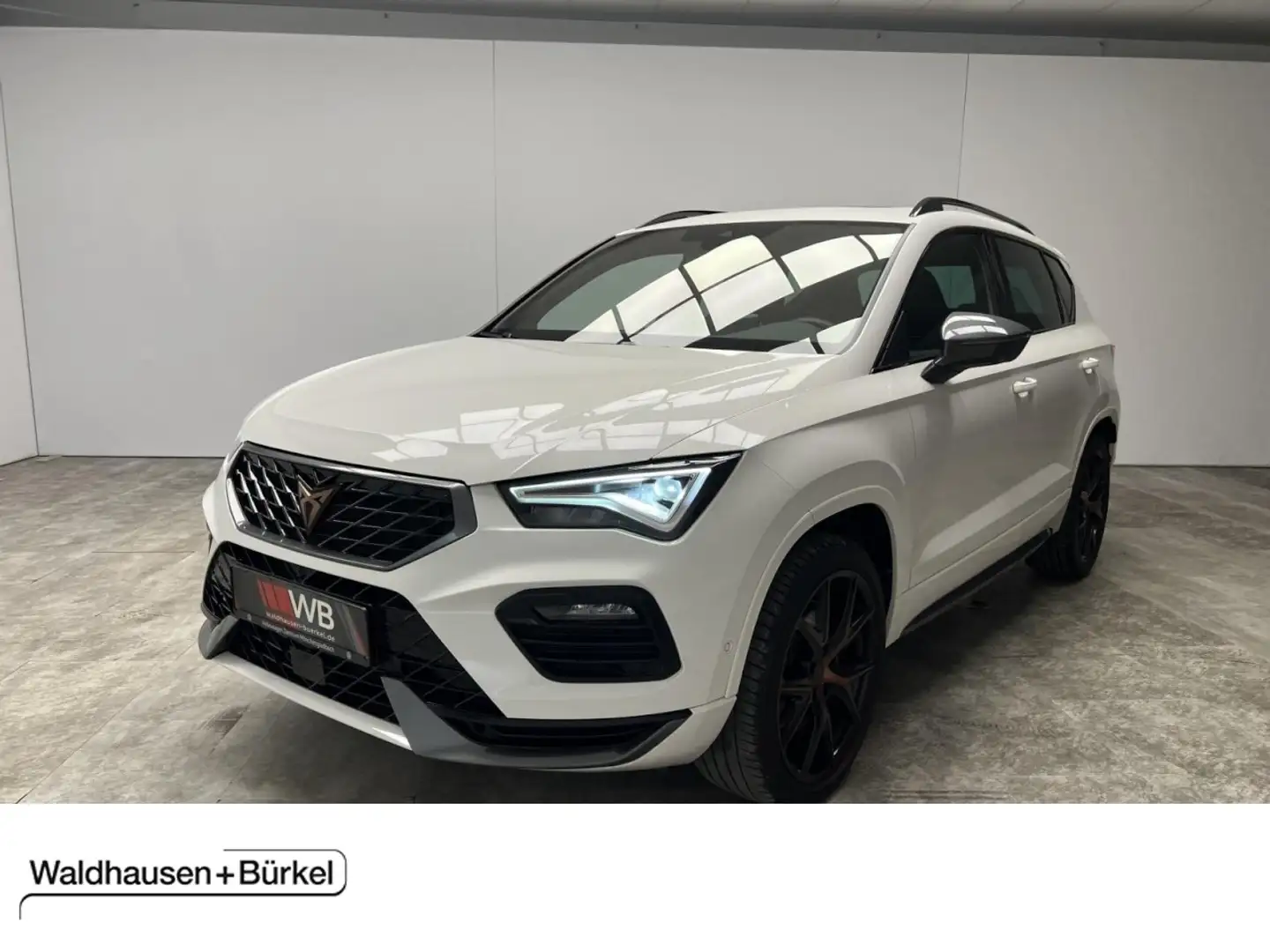 CUPRA Ateca 2.0 TSI DSG 4Drive Klima Navi Leder Weiß - 1