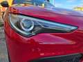 Alfa Romeo Stelvio 2.2 Turbodiesel 210 CV AT8 Q4 Super Rot - thumbnail 44