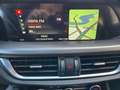 Alfa Romeo Stelvio 2.2 Turbodiesel 210 CV AT8 Q4 Super Rot - thumbnail 12