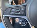 Alfa Romeo Stelvio 2.2 Turbodiesel 210 CV AT8 Q4 Super Rot - thumbnail 19