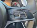 Alfa Romeo Stelvio 2.2 Turbodiesel 210 CV AT8 Q4 Super Rot - thumbnail 18