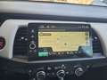 Honda Jazz 1.5 Hev eCVT Executive Gris - thumbnail 15