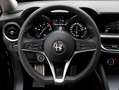 Alfa Romeo Stelvio 2.2 t Executive Q4 210cv auto✔️TETTO APRIBILE Nero - thumbnail 27
