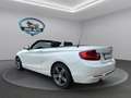 BMW 220 i Cabrio Sport Line AUT*1.HAND*TÜV NEU Alb - thumbnail 2