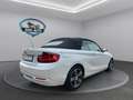 BMW 220 i Cabrio Sport Line AUT*1.HAND*TÜV NEU Alb - thumbnail 4