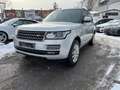 Land Rover Range Rover 3,0 TDV6 HSE Allrad Autom. 258PS PICKERL 9/26 Silber - thumbnail 1