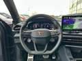 CUPRA Terramar 1.5 eTSI DSG LED Head Up Allwetterreifen Grau - thumbnail 12