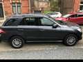 Mercedes-Benz ML 350 ML 350 BlueTEC Niebieski - thumbnail 6